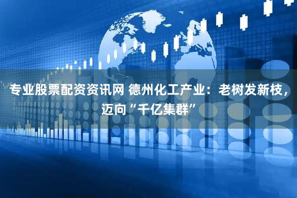 专业股票配资资讯网 德州化工产业：老树发新枝，迈向“千亿集群”