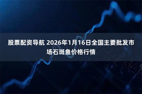 股票配资导航 2026年1月16日全国主要批发市场石斑鱼价格行情